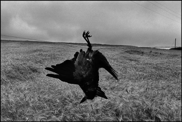IRELAND. 1978. ? Josef Koudelka / Magnum Photos