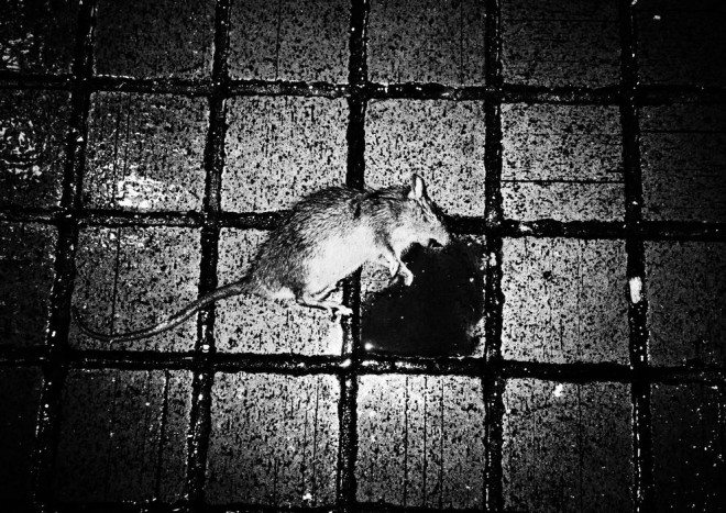 1x1.trans 11 Lessons Jacob Aue Sobol Has Taught Me About Street Photography