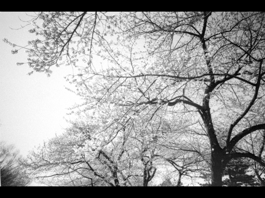 10 Photography Tips ERic Kim.003