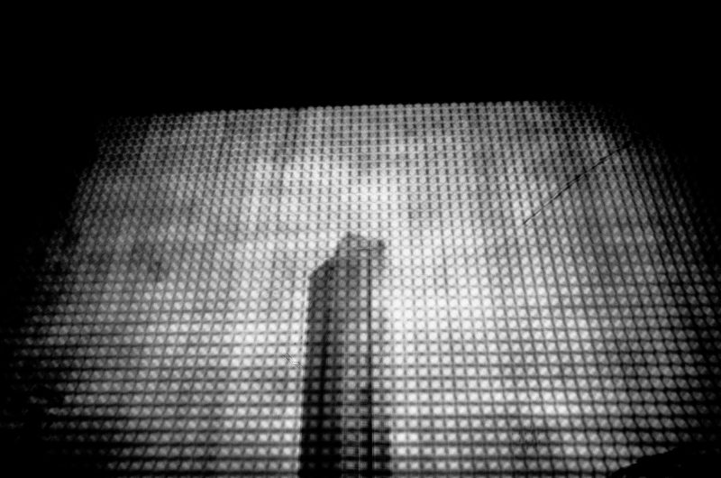 20170221-E0008132eric-kim-photography-13-pick