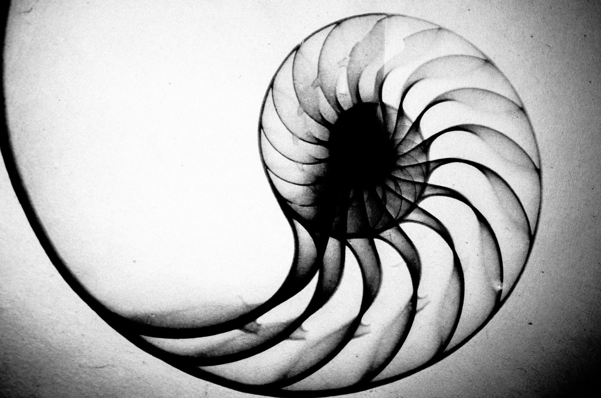 eric kim photography black and white hanoi-0009910.jpg