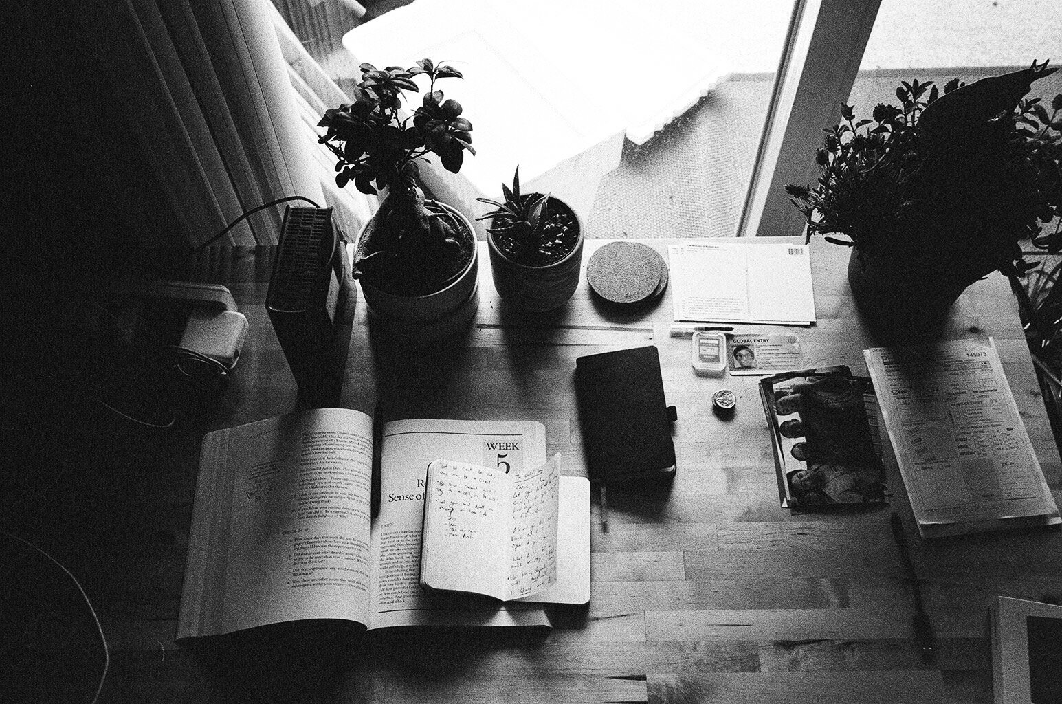 Why Does Black and White Photography Look More Timeless?