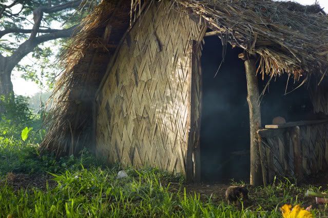 Interview with Adam Marelli about His Journey to the Remote Island of Tanna