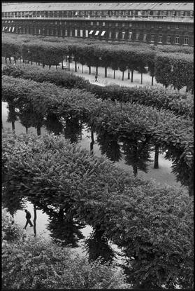 Henri Cartier-Bresson. FRANCE. 1959. Paris. The Palais Royal Gardens.