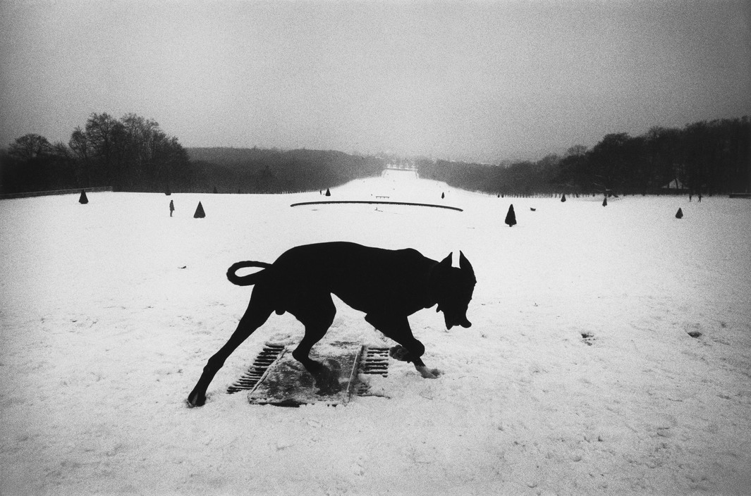 (c) Josef Koudelka / Magnum Photos. FRANCE. Hauts-de-Seine. Parc de Sceaux. 1987. - dog devil silhouette