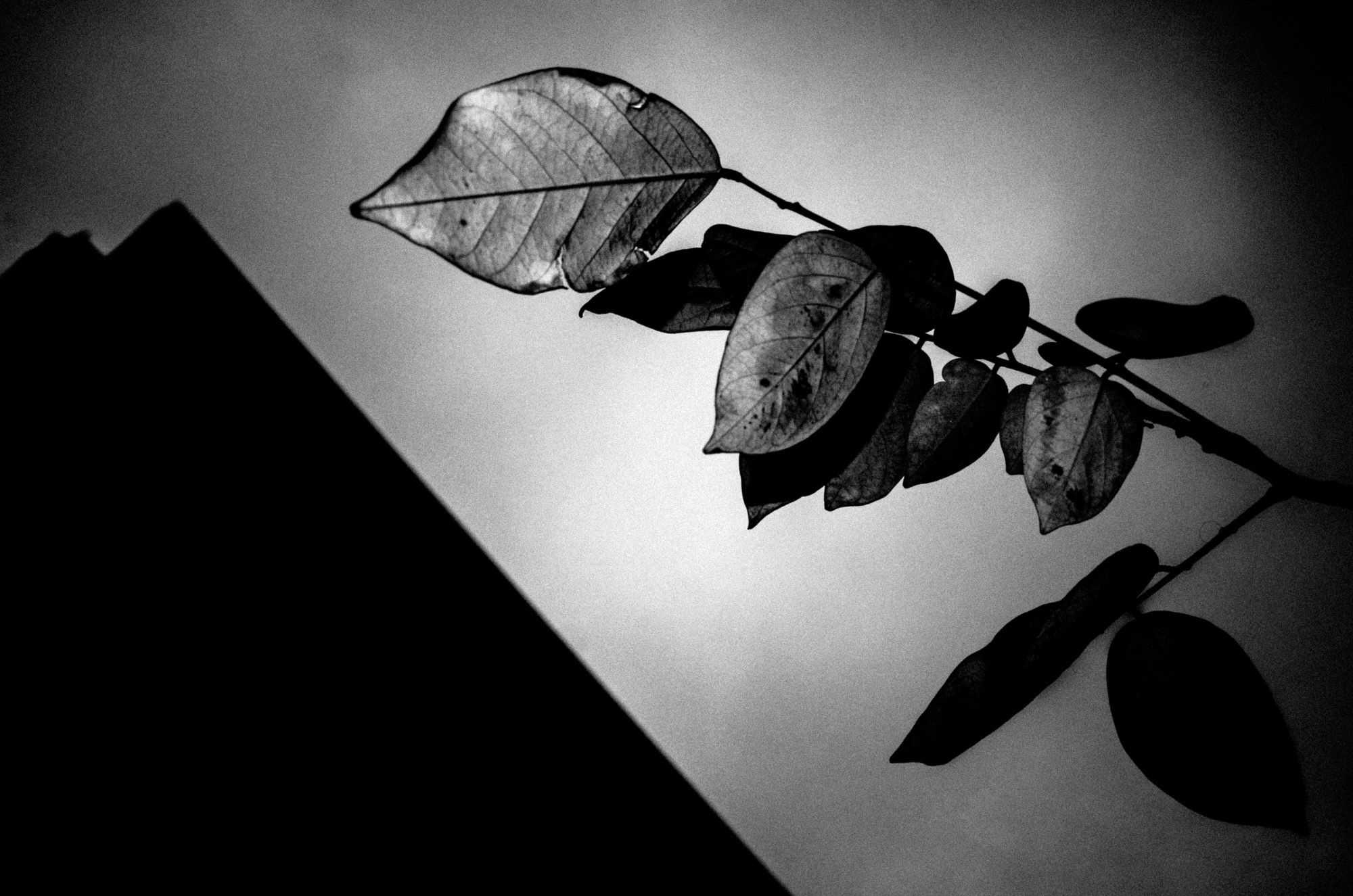 eric kim photography black and white hanoi-0009560