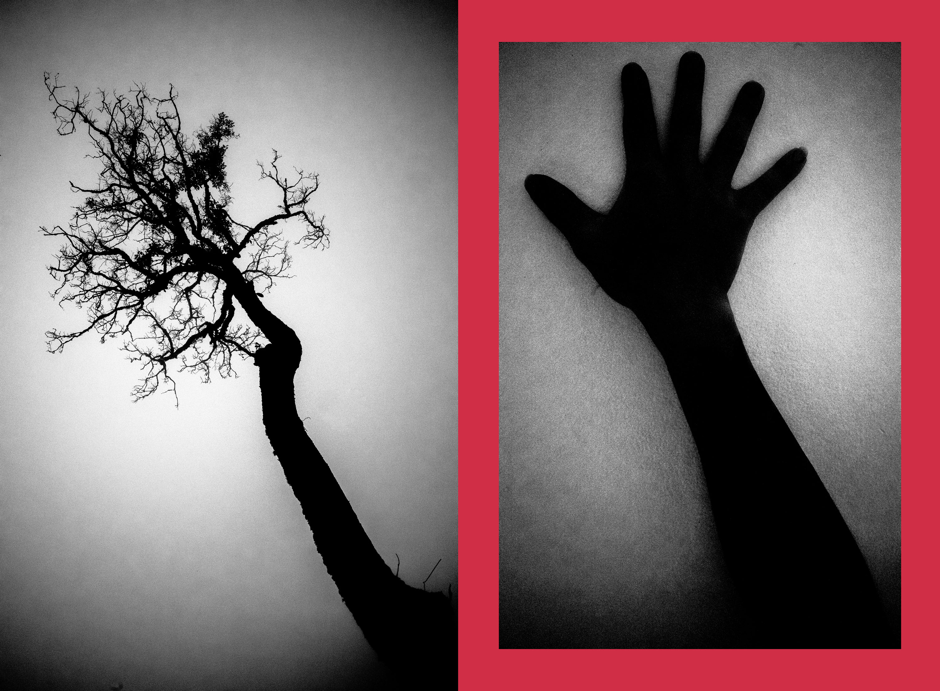 small-tree and hand