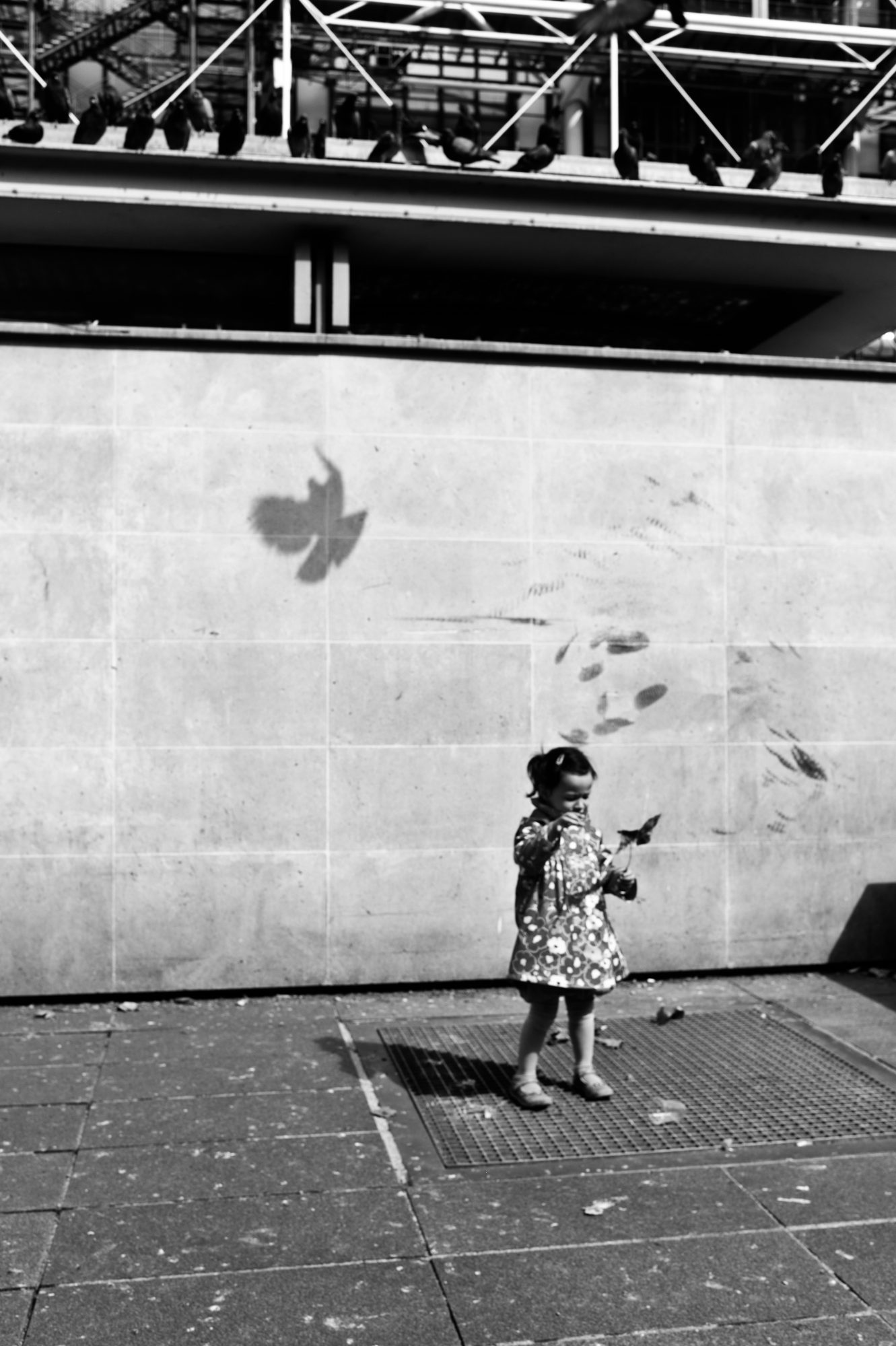 Girl with pigeon shadow. Paris, 2011