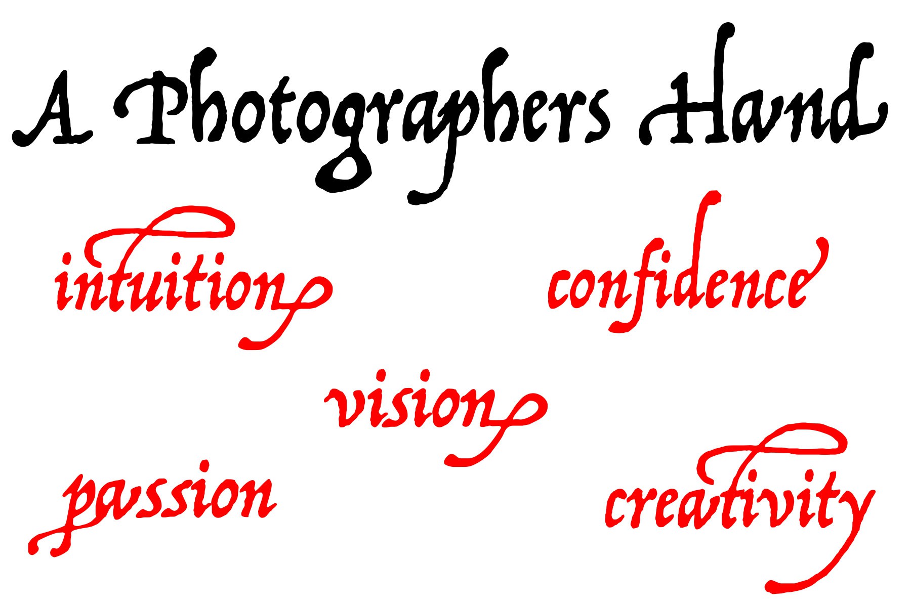 THE PHOTOGRAPHERS HAND: The 5 Traits of Great Photographers