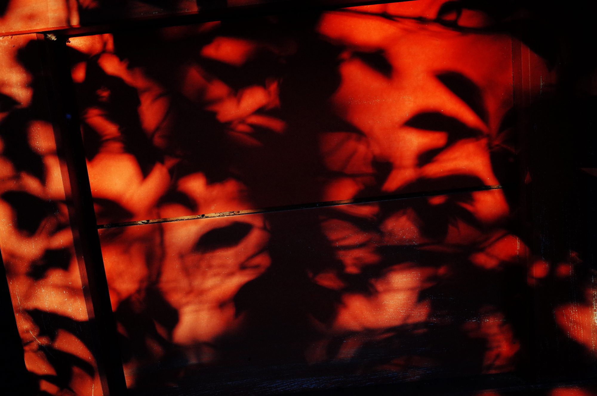 Red shadows. Uji / Kyoto, 2018