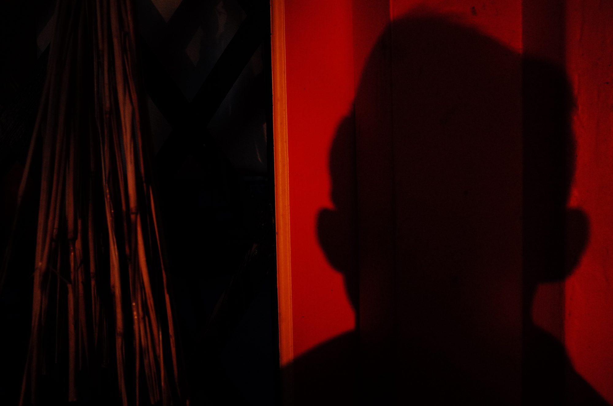 Red selfie shadow. Uji / Kyoto, 2018