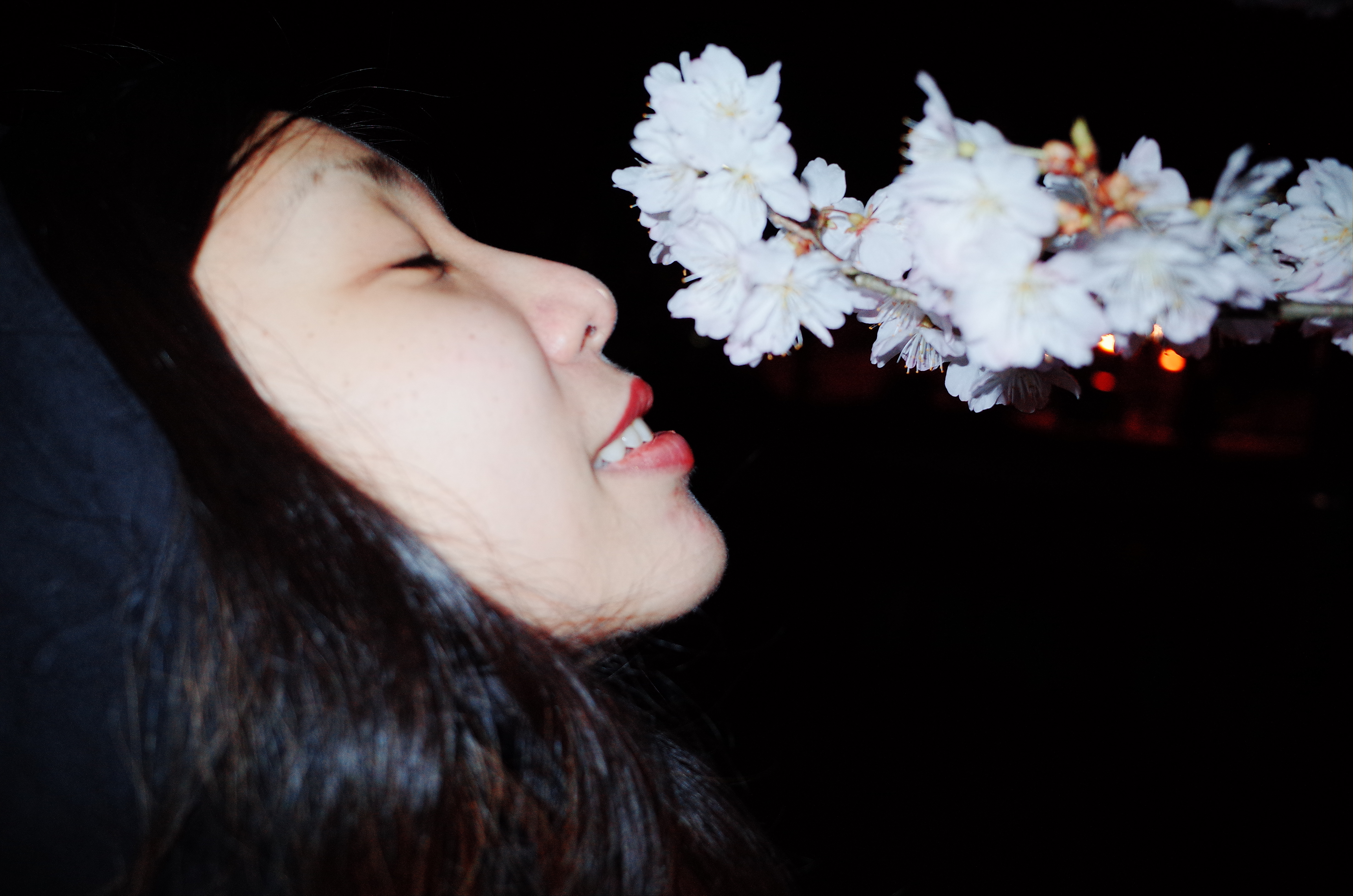 Cindy sniffing cherry blossoms. Uji / Kyoto, 2018