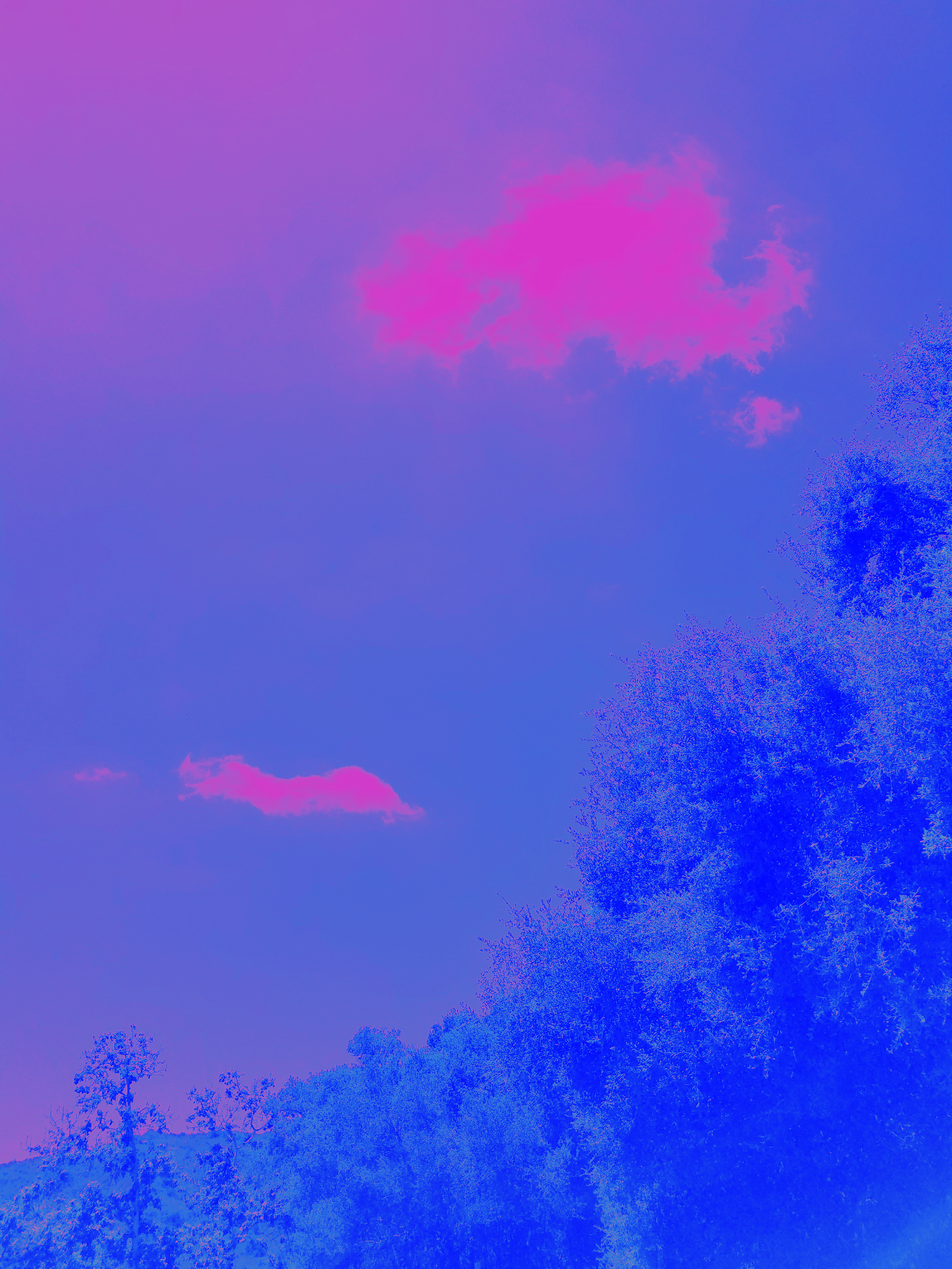 Purple skies