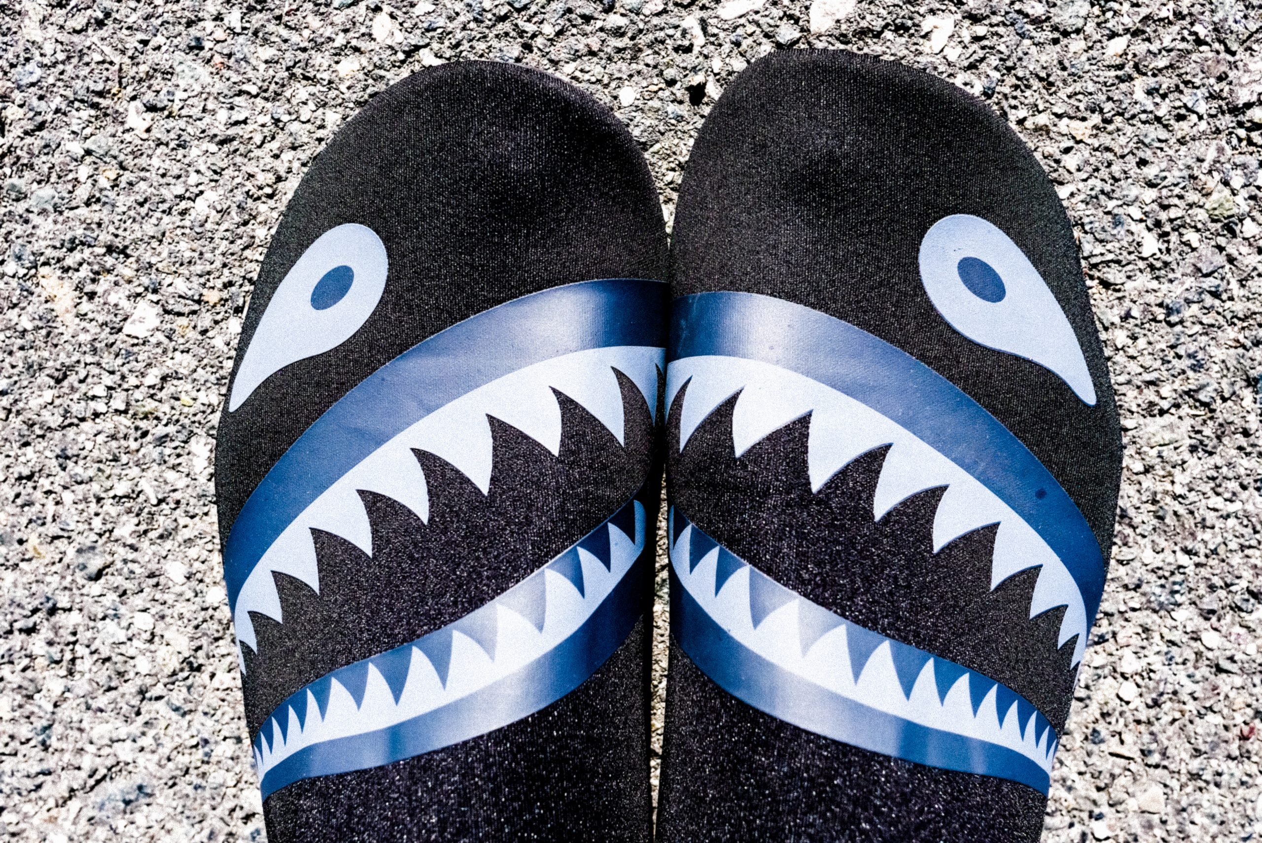 My new Shark shoes (water shoes from Amazon, only $15)