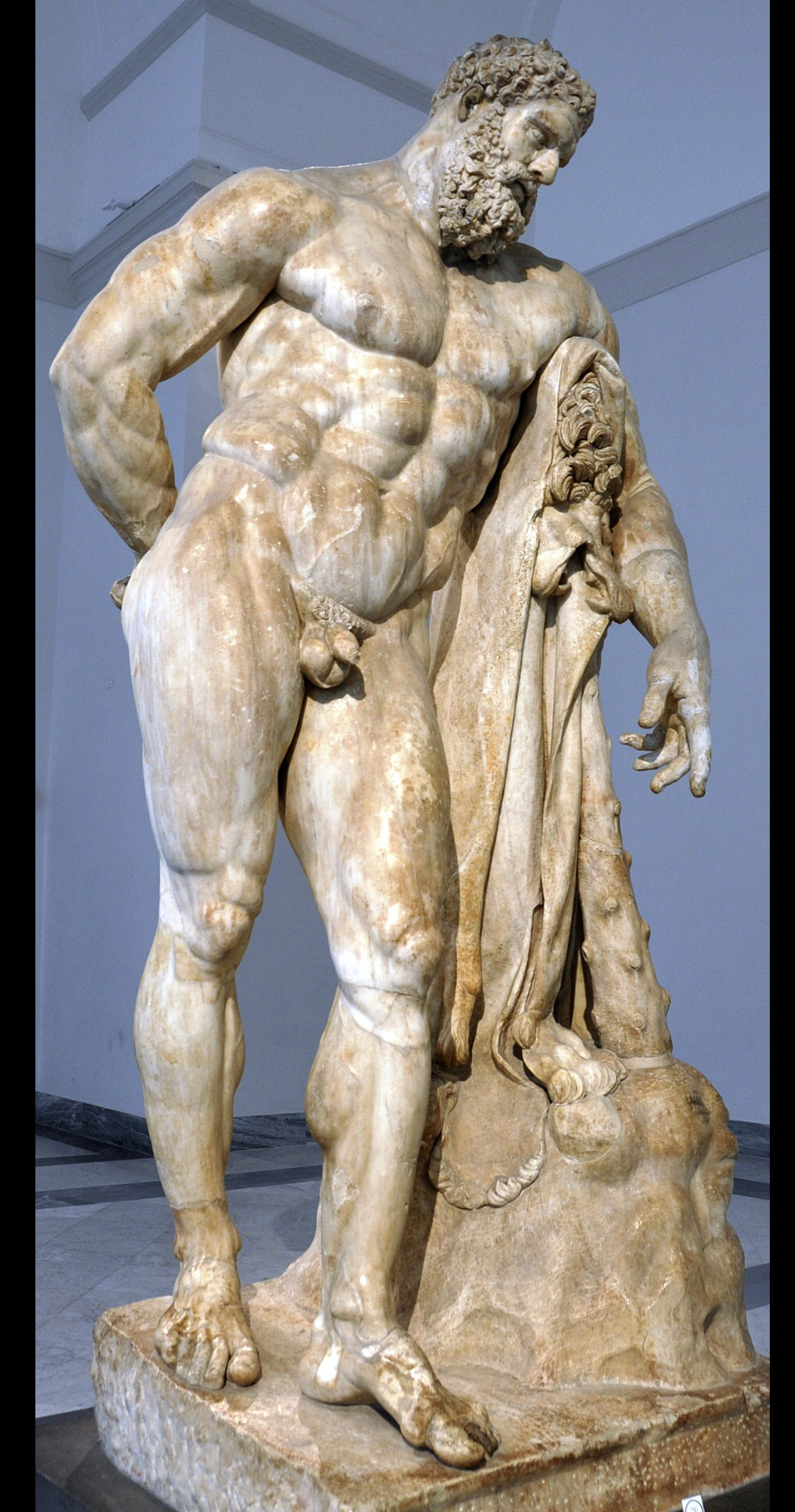 Hercules Furens (my ideal physique)