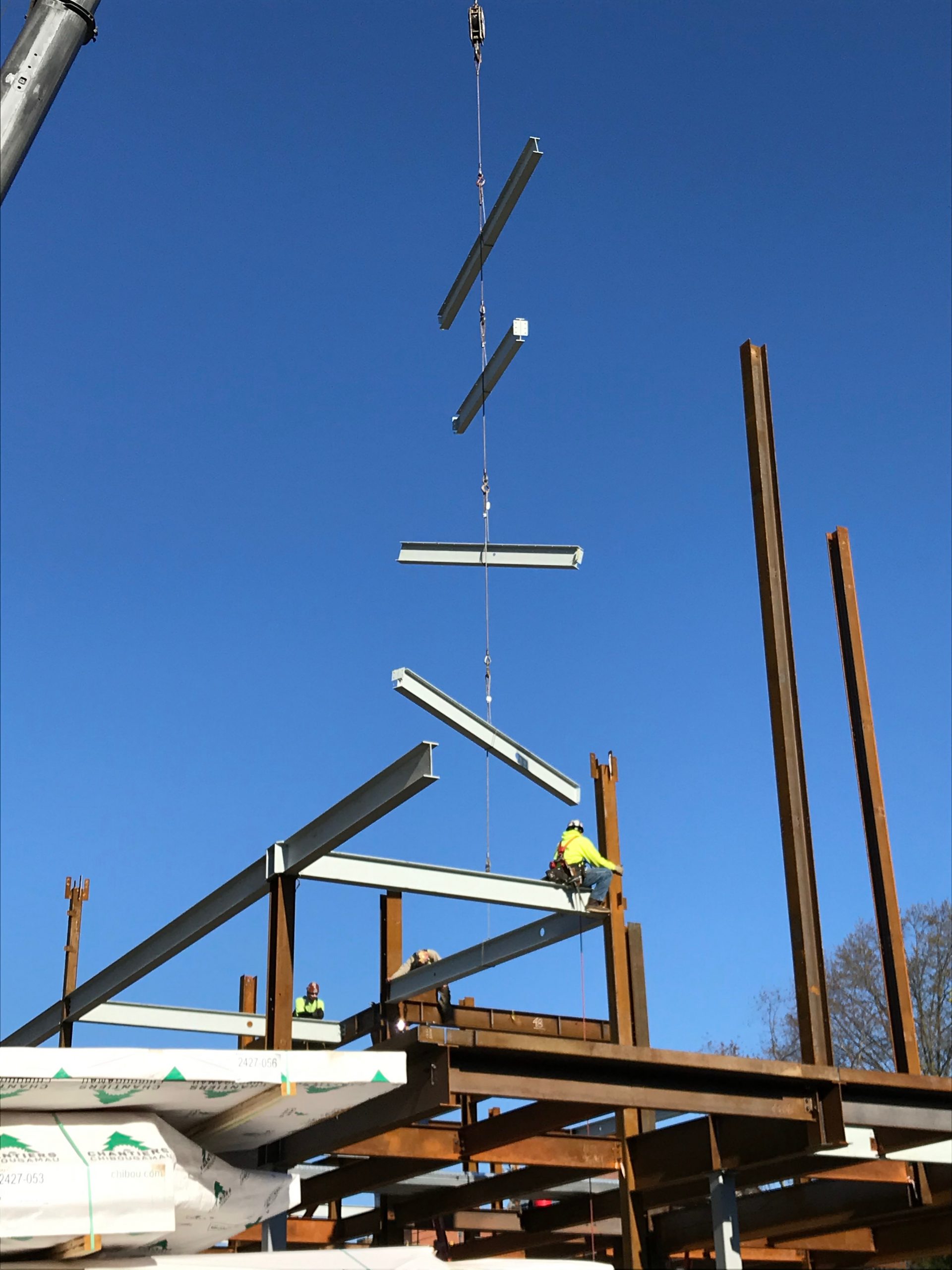 Do You Prefer Real Life or Art of Real Life?