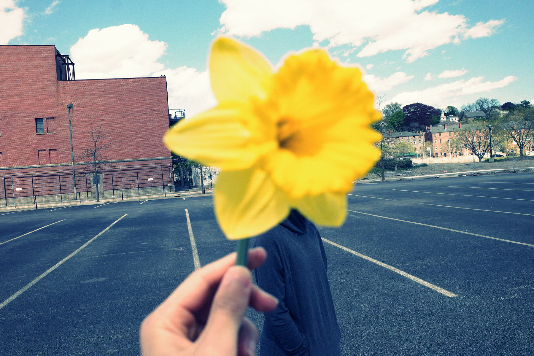 Cindy project flower