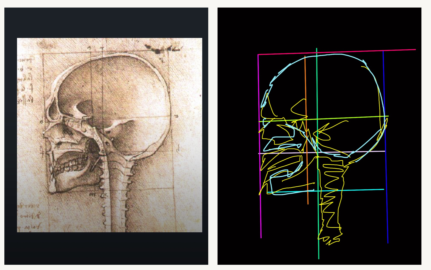 Skull da Vinci