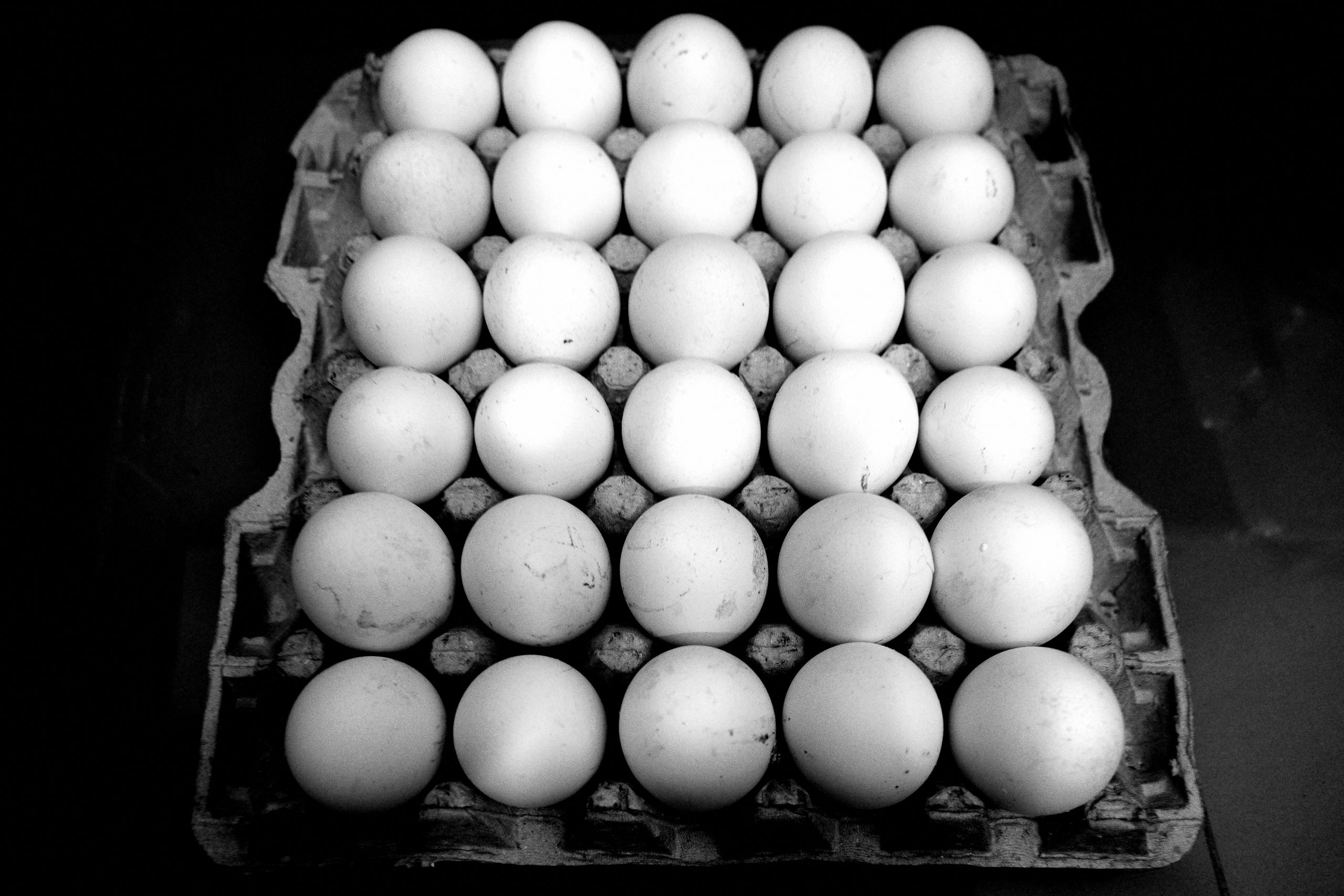 eggs Cuba black and white ERIC KIM