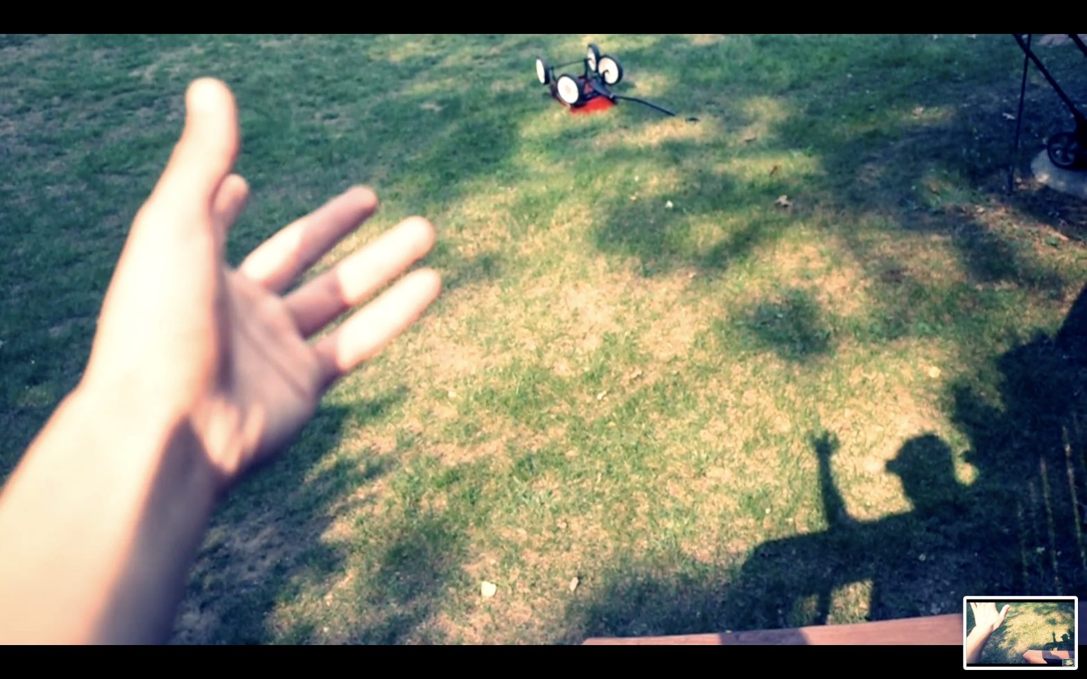 hand selfie grass