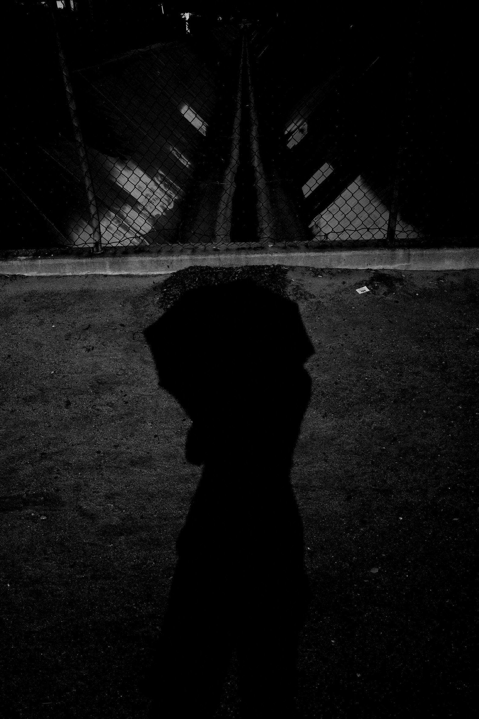selfie umbrella black and white