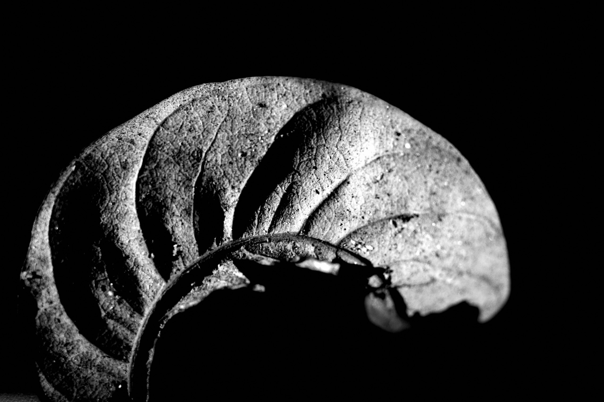 Make it insanely easy