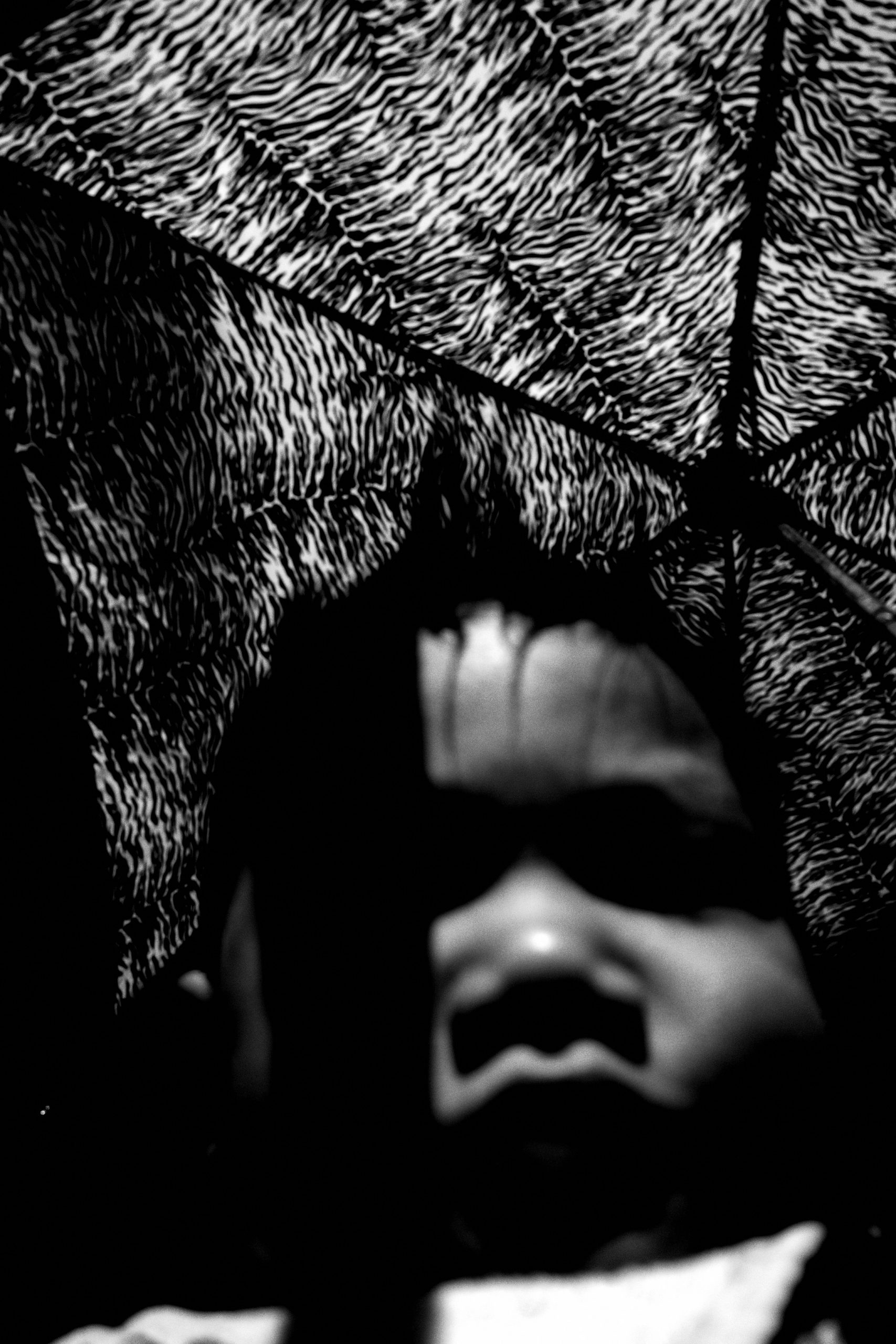 seneca selfie umbrella