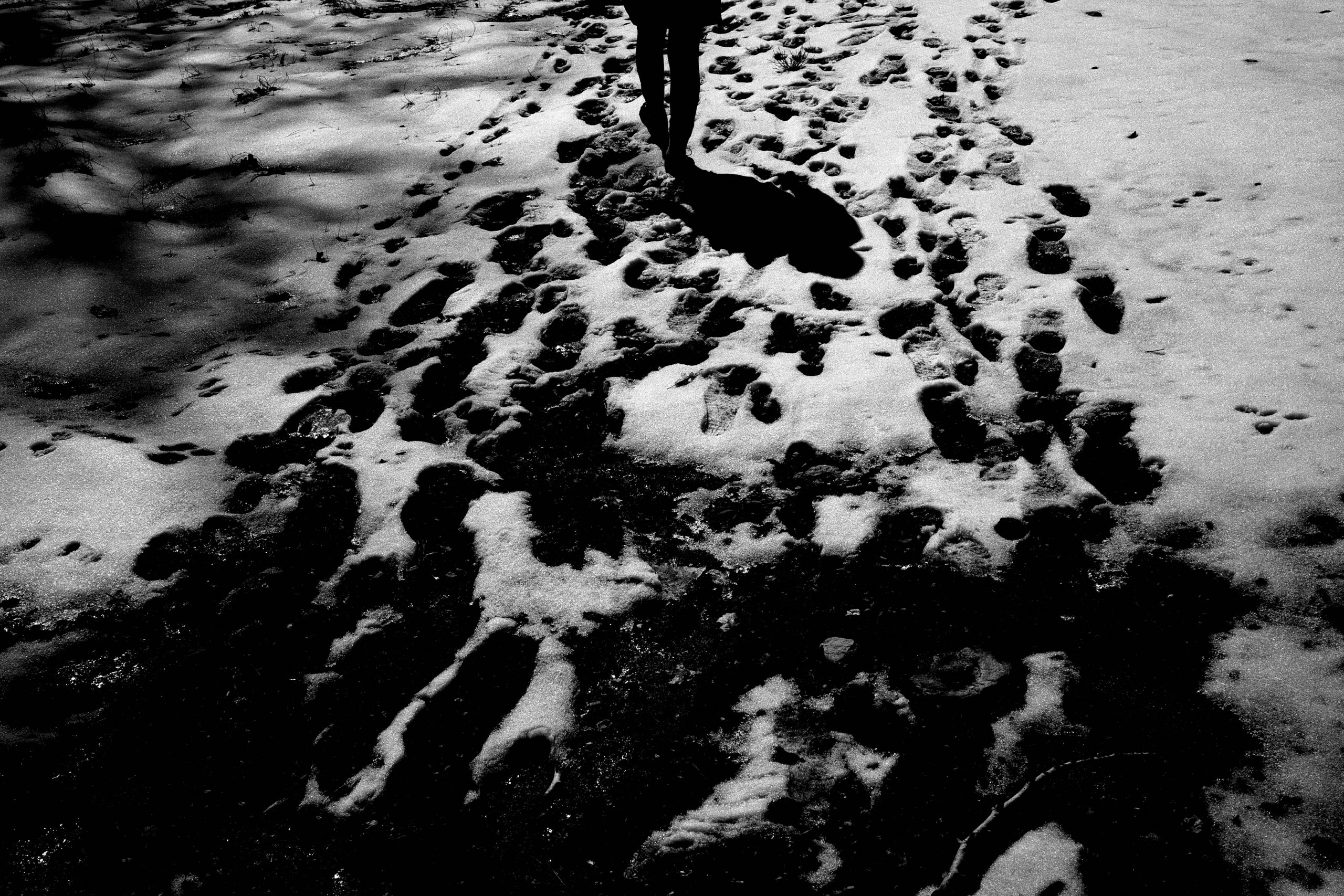 snow Cindy walking