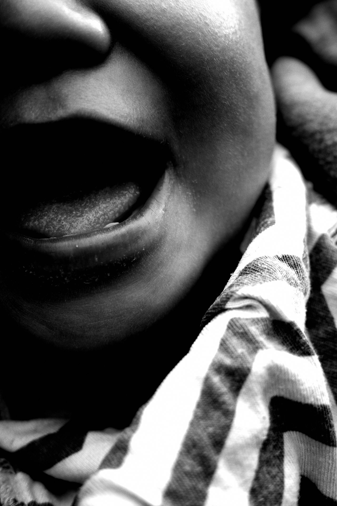 The Blog as a Dynamic Book