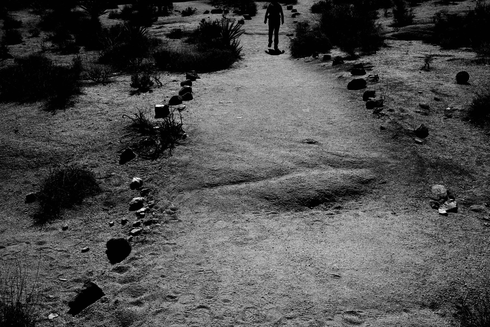 DYNAMIC AESTHETIC TASTES.