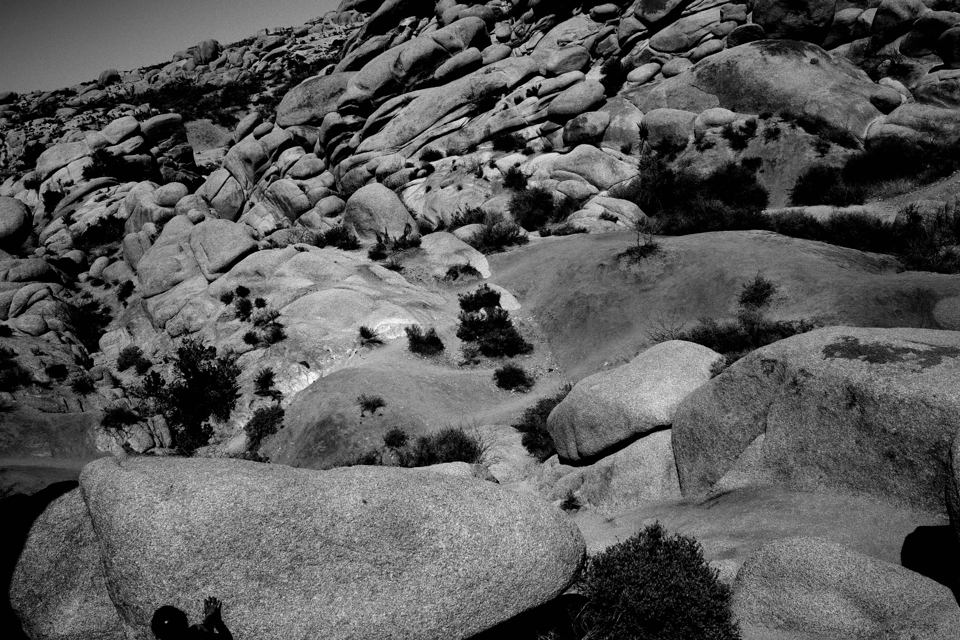 What We Desire is a Greater Number and Depth of Novel Experiences