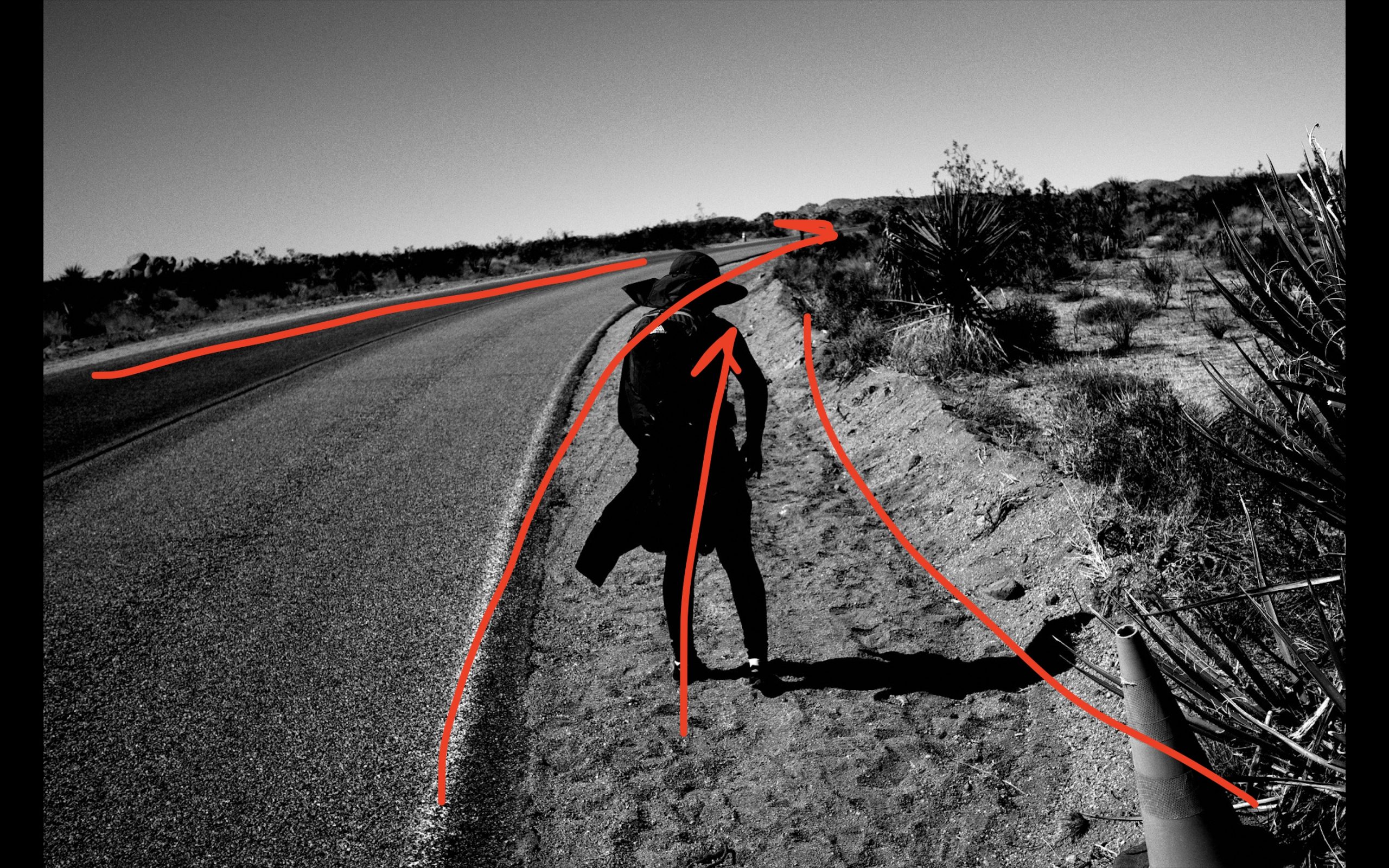 Cindy Joshua tree leading lines red