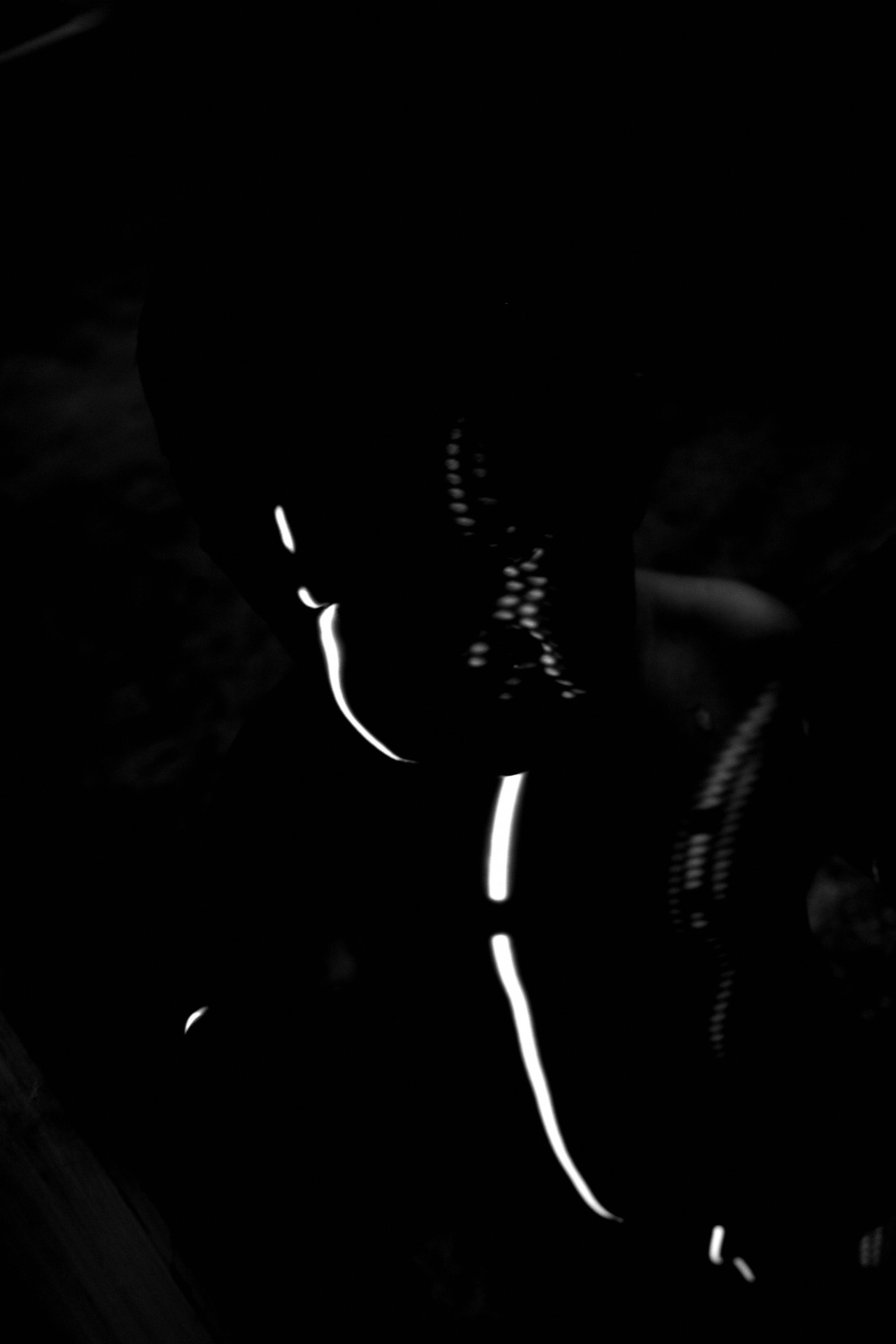 Apple Maps Over Google Maps