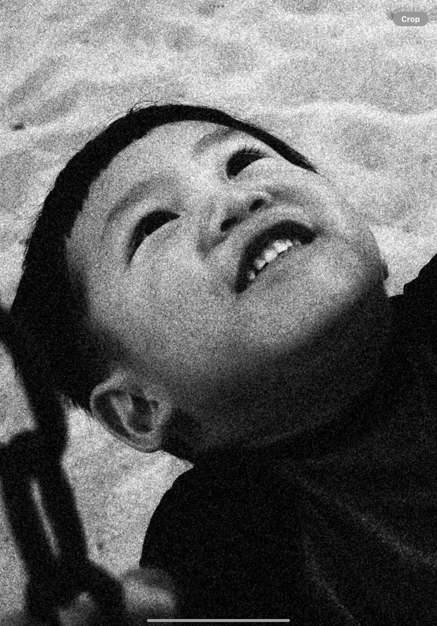 Seneca face crop swing